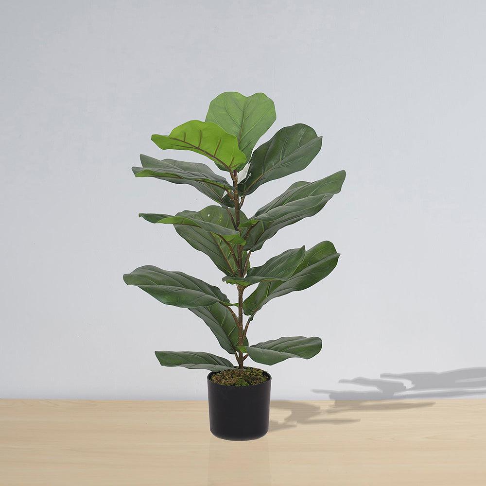 Anza Artificial Fiddle Leaf Potted Plant (Multiple Sizes) | Artificial Tabletop Plants Artificial Plants Artificial Plants & Trees