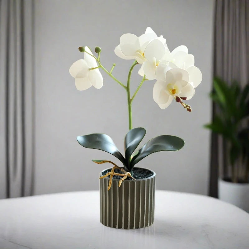 Artificial Potted Orchid Orchid Flower Arrangement | Small Floral & Foliage Decor Decor Small Floral & Foliage Decor