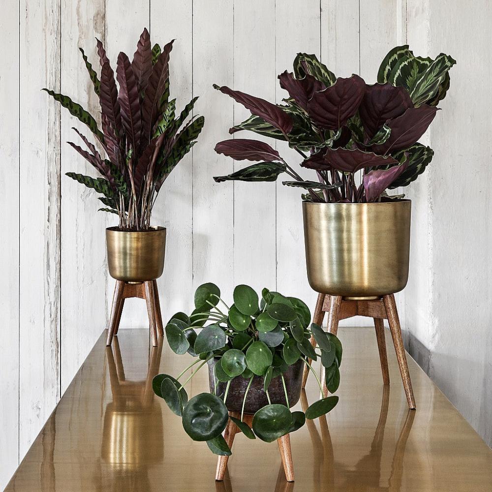 Atzi – Mid-Century Turned Wood Leg Planter Brass (Multiple Sizes) | Brass Brass Brass