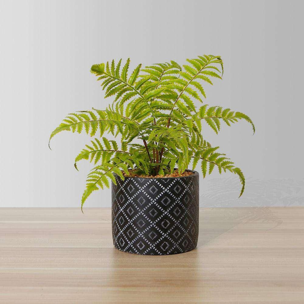 Bali Potted Faux Fern | Artificial Plants & Trees Artificial Plants Artificial Plants & Trees