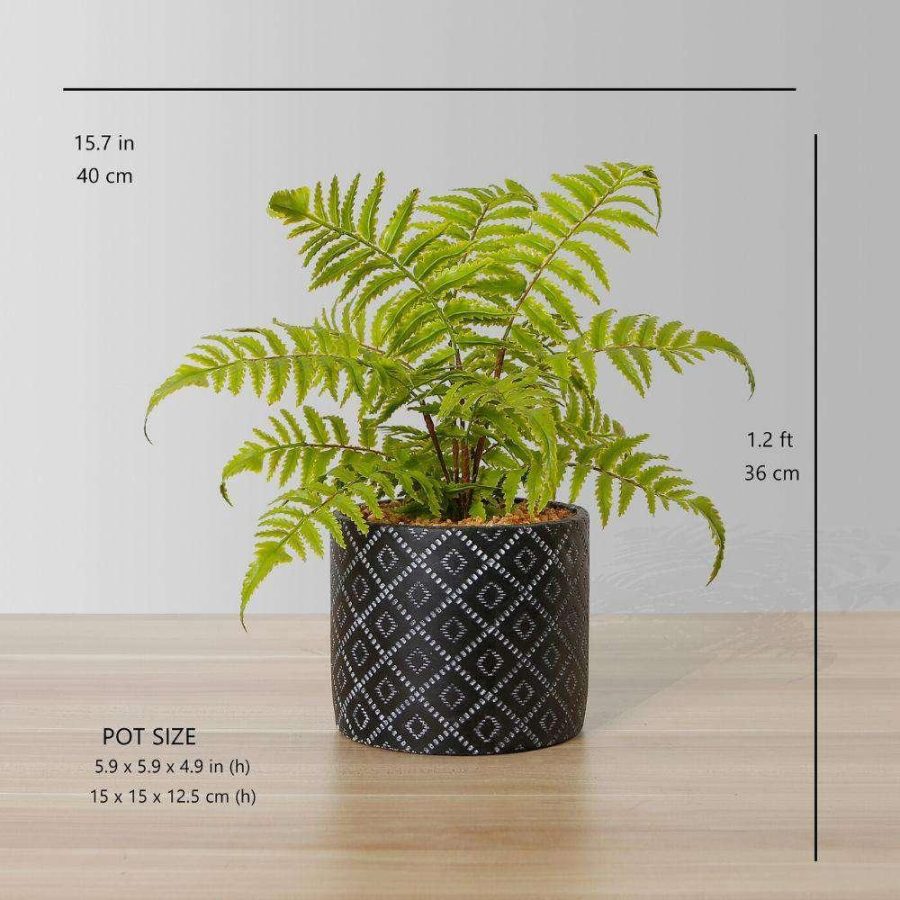 Bali Potted Faux Fern | Artificial Plants & Trees Artificial Plants Artificial Plants & Trees