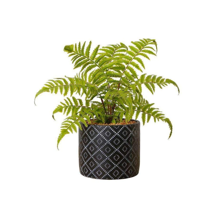 Bali Potted Faux Fern | Artificial Plants & Trees Artificial Plants Artificial Plants & Trees