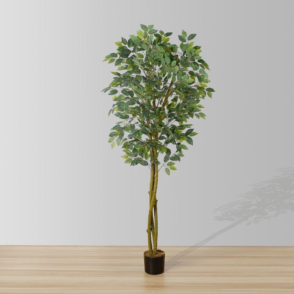 Benja Artificial Ficus Tree Potted Plant 6’ | Artificial Plants & Trees Artificial Plants Artificial Plants & Trees