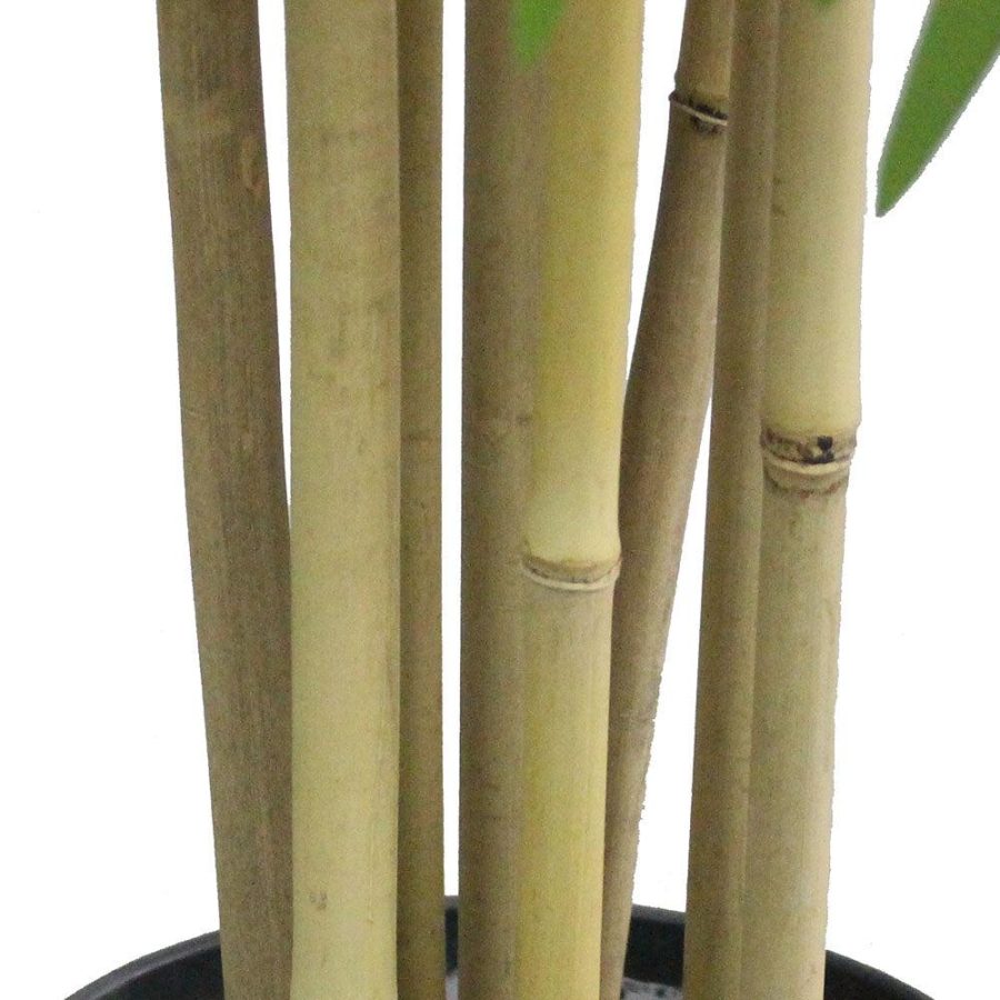 Ceja Artificial Korea Bamboo Potted Plant (Multiple Sizes) | Artificial Plants & Trees Artificial Plants Artificial Plants & Trees