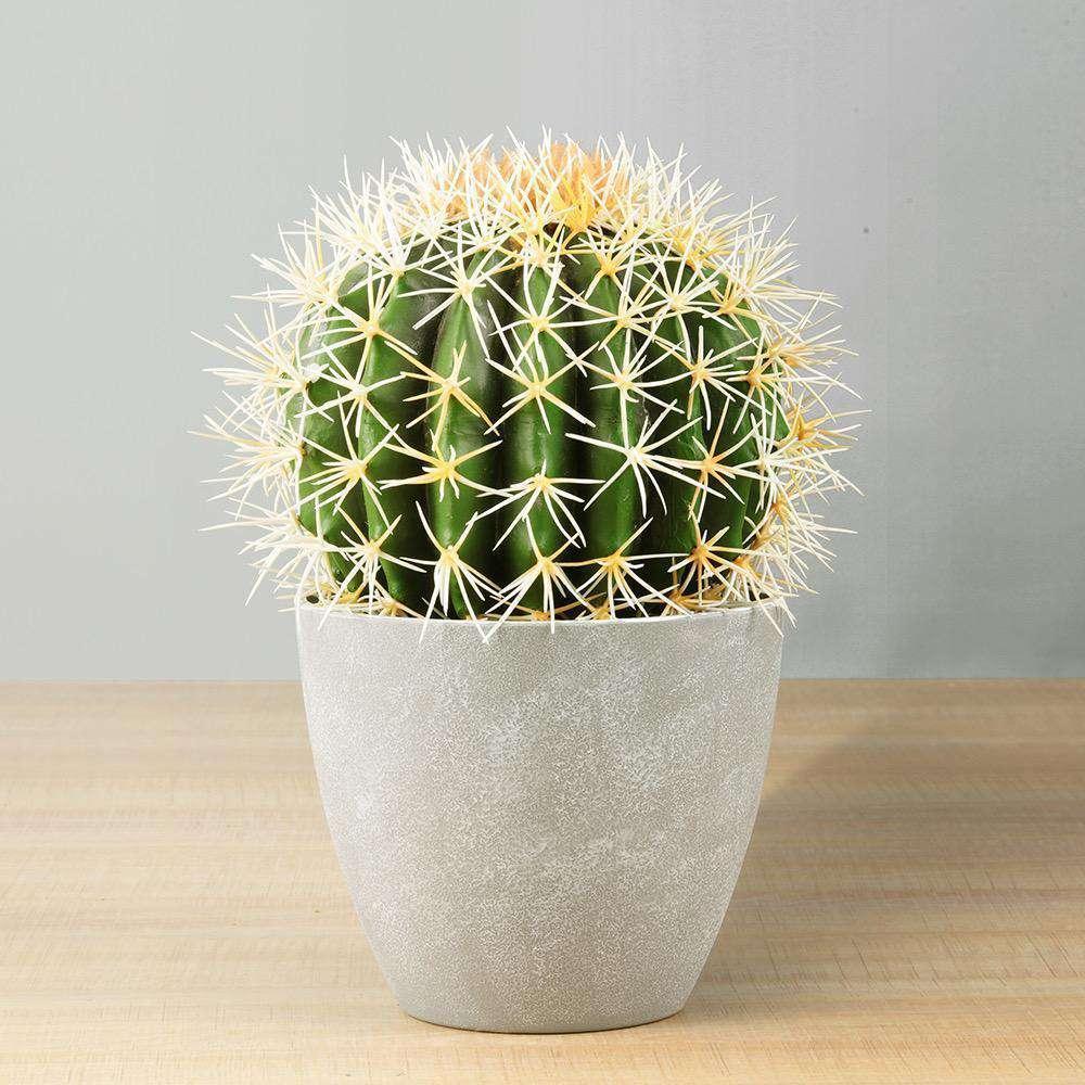 Coco Artificial Cactus Potted Plant 11" | Artificial Plants & Trees Artificial Plants Artificial Plants & Trees