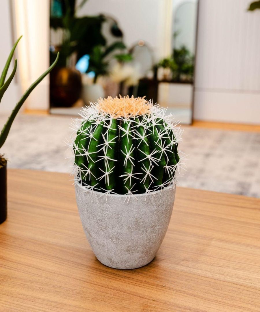 Coco Artificial Cactus Potted Plant 11" | Artificial Plants & Trees Artificial Plants Artificial Plants & Trees