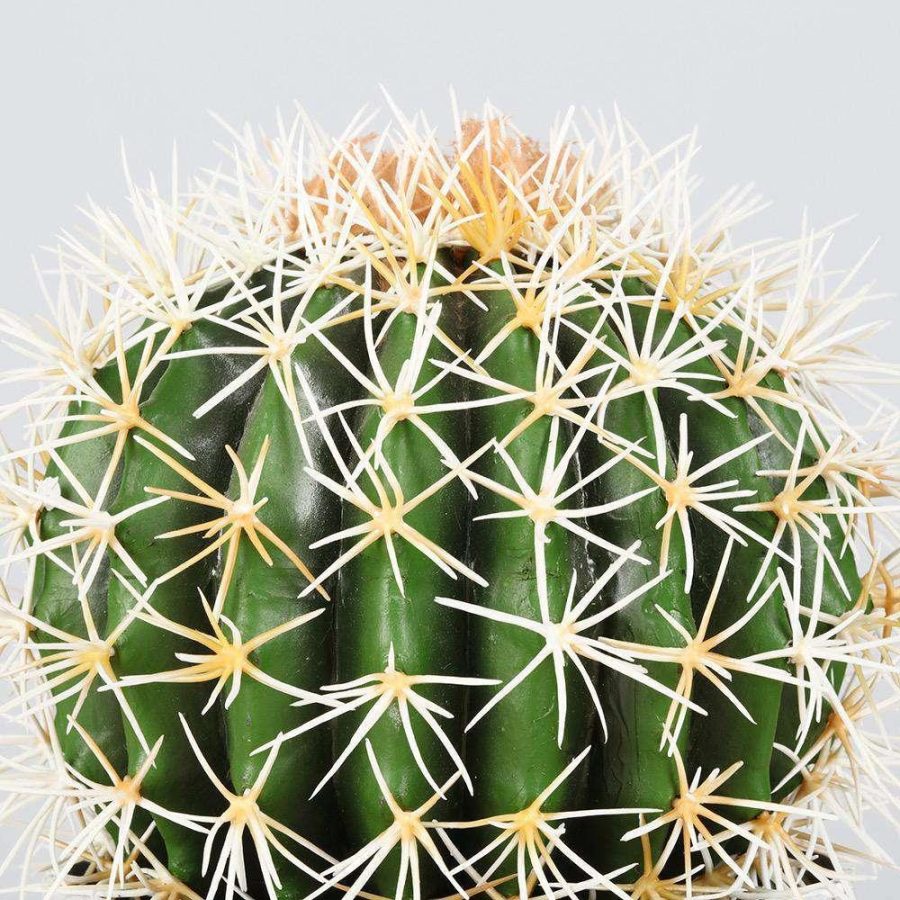 Coco Artificial Cactus Potted Plant 11" | Artificial Plants & Trees Artificial Plants Artificial Plants & Trees