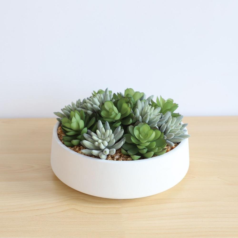 Eva Artificial Succulent Arrangement in Low White Pot | Artificial Tabletop Plants Artificial Plants Artificial Plants & Trees