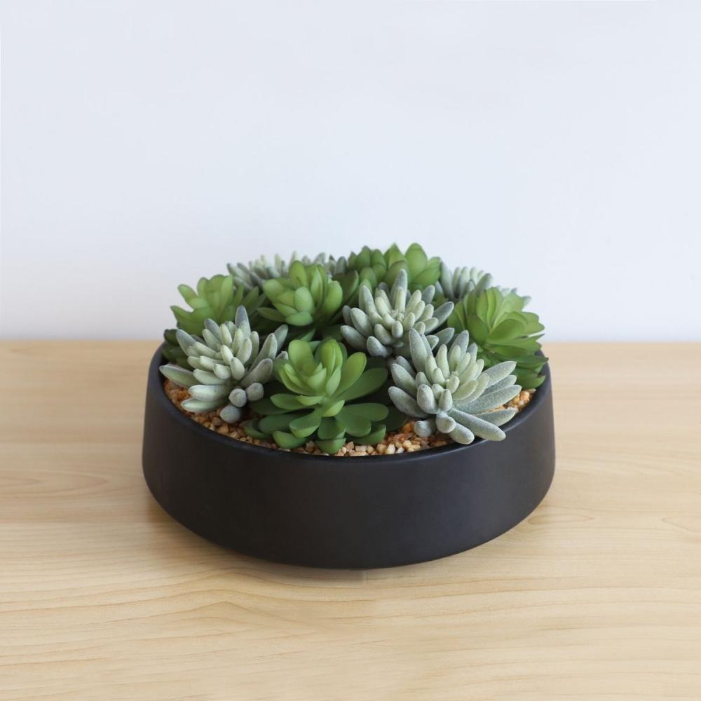 Kae Artificial Succulent Arrangement in Low Black Pot | Artificial Succulent Arrangements Artificial Plants Artificial Plants & Trees