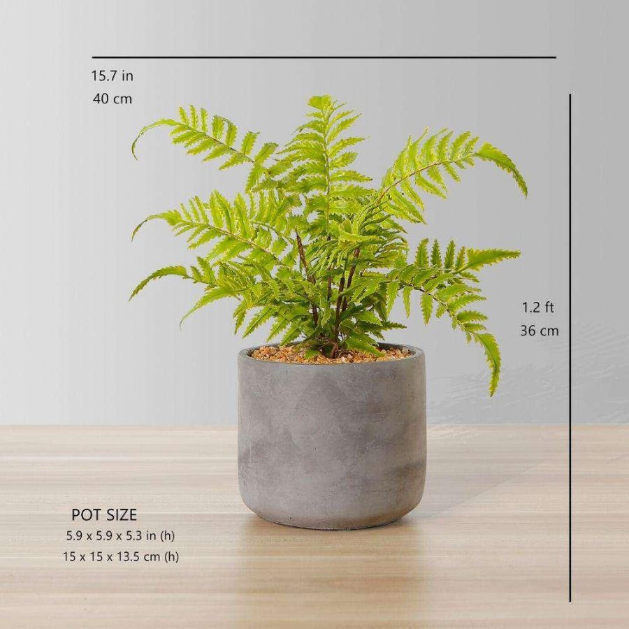 Kuta Potted Faux Fern | Artificial Tabletop Plants Artificial Plants Artificial Plants & Trees