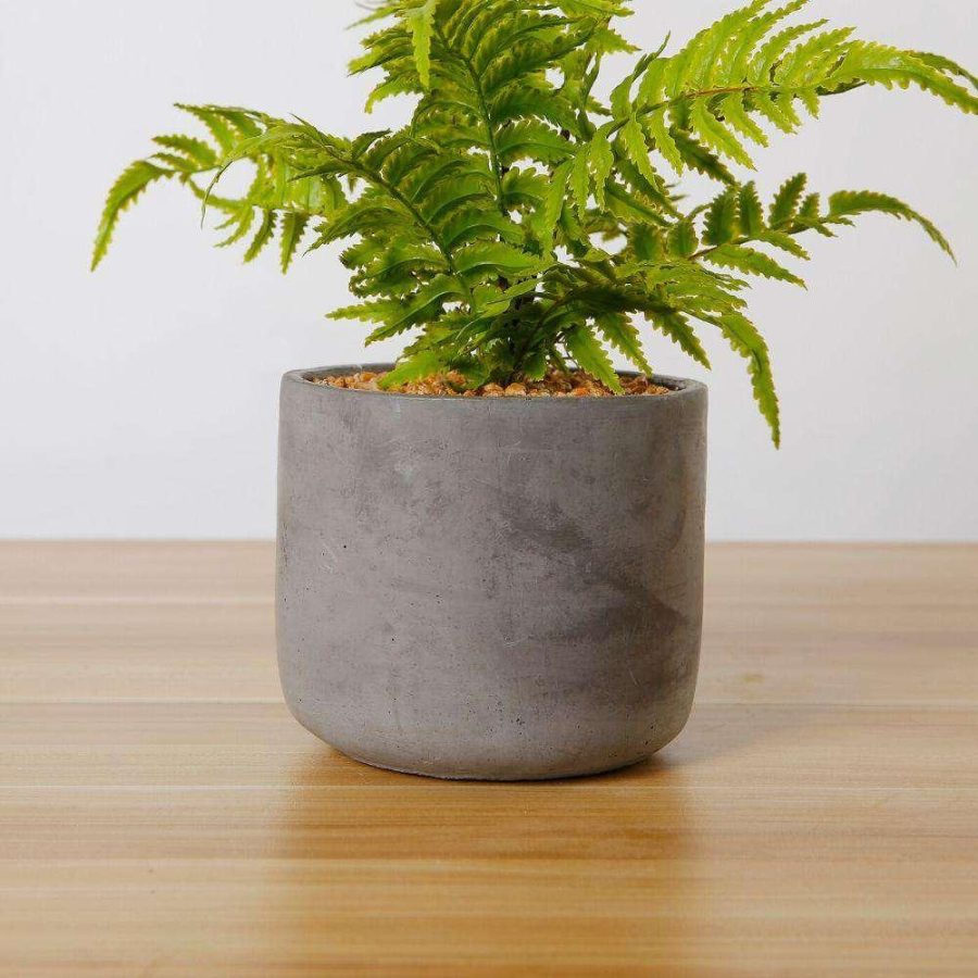 Kuta Potted Faux Fern | Artificial Tabletop Plants Artificial Plants Artificial Plants & Trees