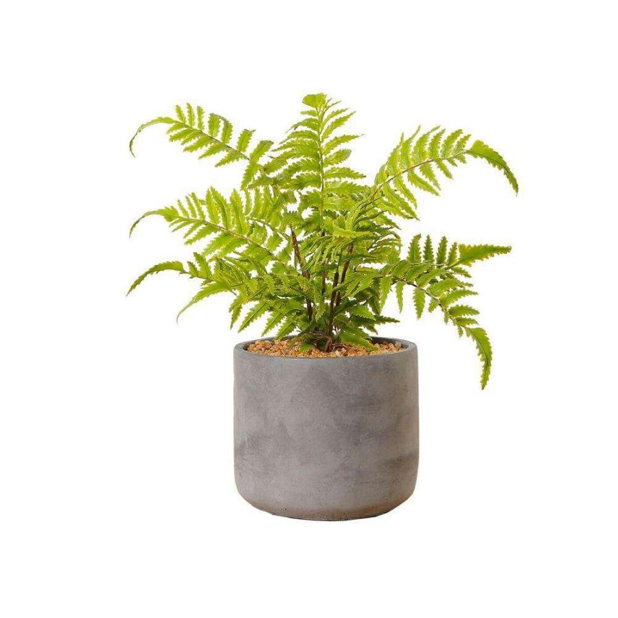 Kuta Potted Faux Fern | Artificial Tabletop Plants Artificial Plants Artificial Plants & Trees