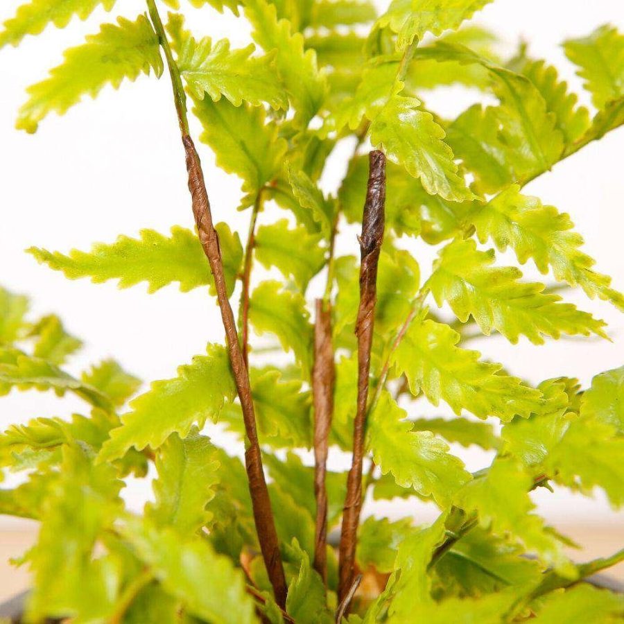 Kuta Potted Faux Fern | Artificial Tabletop Plants Artificial Plants Artificial Plants & Trees