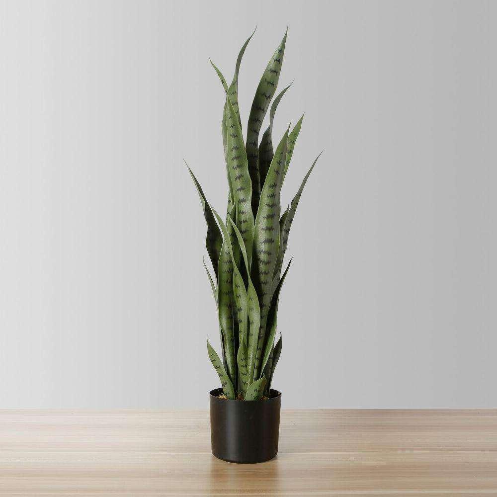 Milo Artificial Snake Sansevieria Dark Green Potted Plant (Multiple Sizes) | Artificial Tabletop Plants Artificial Plants Artificial Plants & Trees