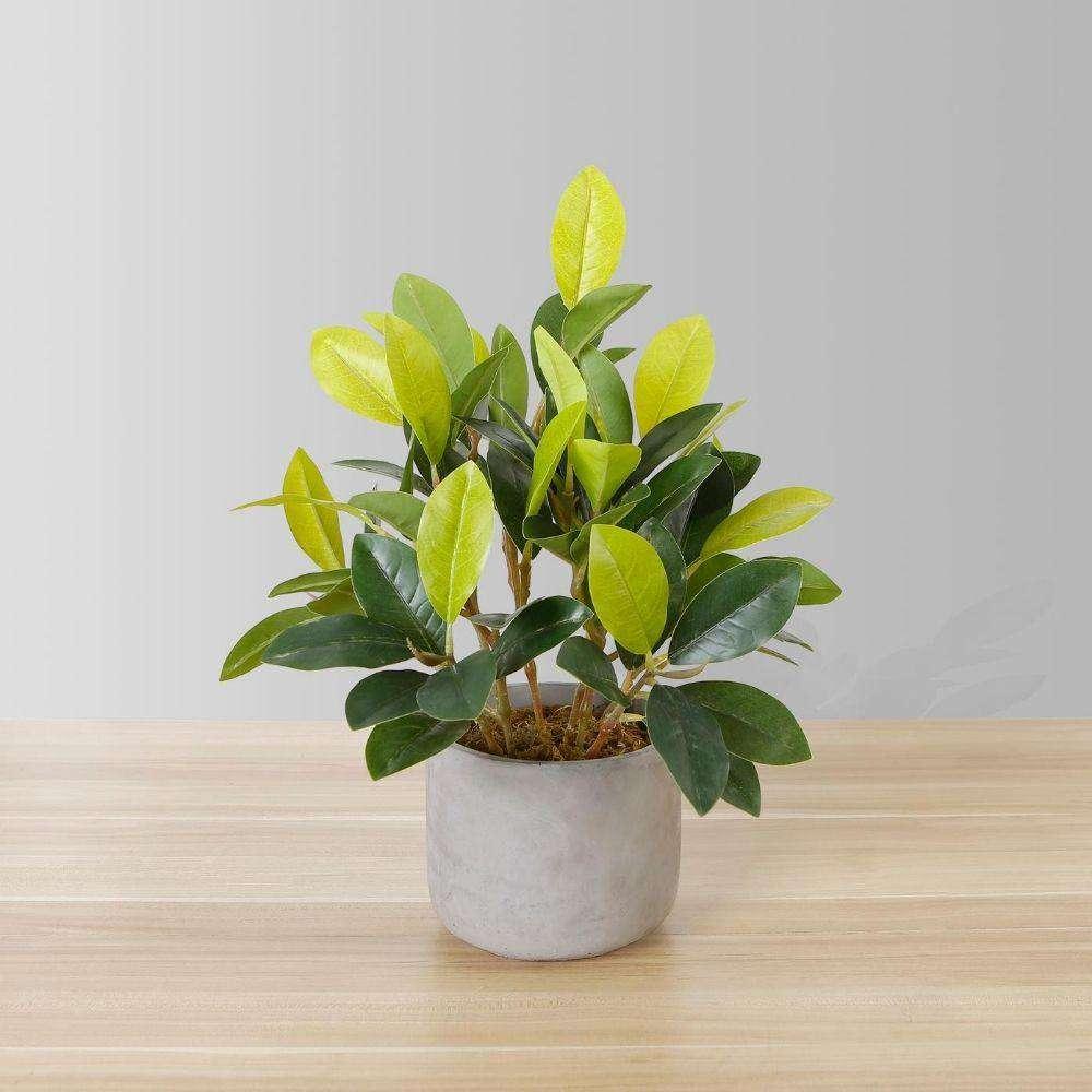 Moralilo Potted Faux Watercress Plant | Artificial Tabletop Plants Artificial Plants Artificial Plants & Trees