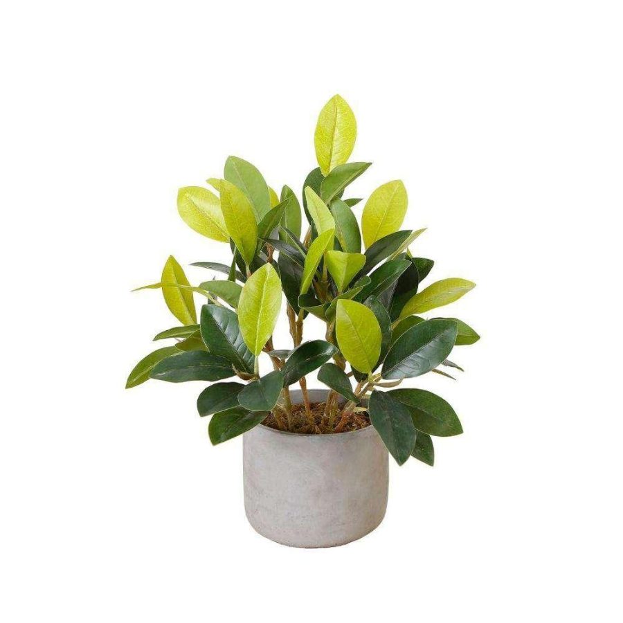 Moralilo Potted Faux Watercress Plant | Artificial Tabletop Plants Artificial Plants Artificial Plants & Trees