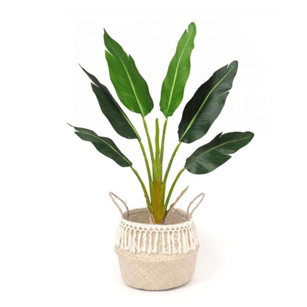 Pokha – Seagrass Basket With Tassel | Seagrass Baskets Planters Seagrass Baskets