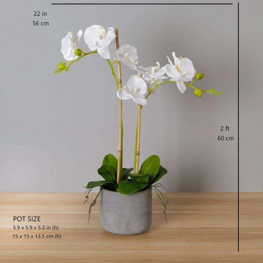 Tampico Faux Potted Orchid Floral Arrangement 24 Inches | Artificial Tabletop Plants Artificial Plants Artificial Tabletop Plants