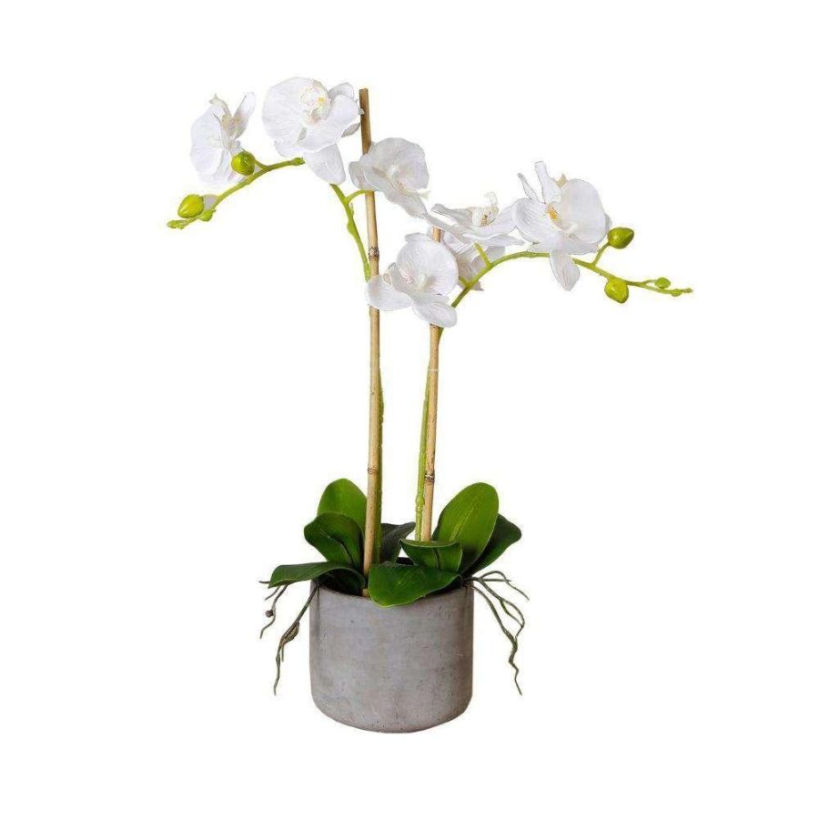 Tampico Faux Potted Orchid Floral Arrangement 24 Inches | Artificial Tabletop Plants Artificial Plants Artificial Tabletop Plants