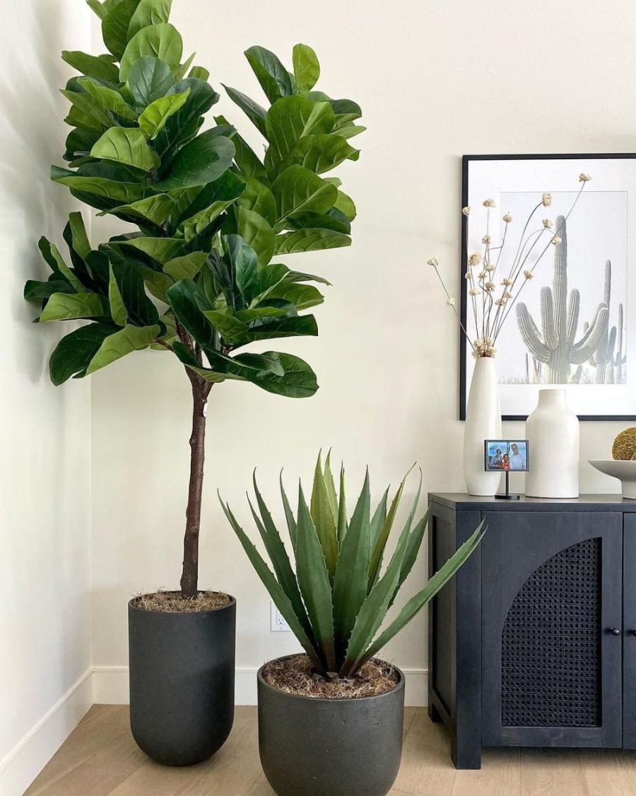 Tunja Artificial Century Potted Plant (Multiple Sizes) | Artificial Plants & Trees Artificial Plants Artificial Plants & Trees