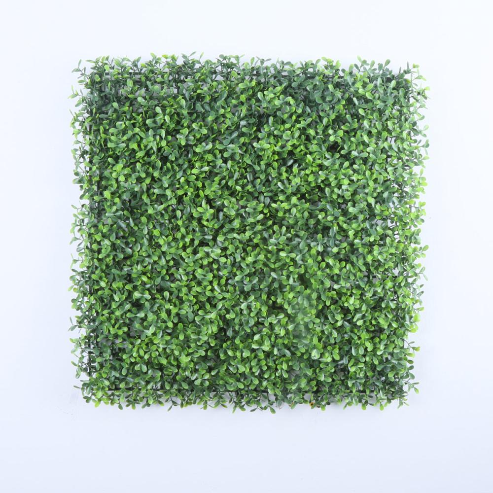 Valencia (box of 12) | Green Wall Decor Green Wall