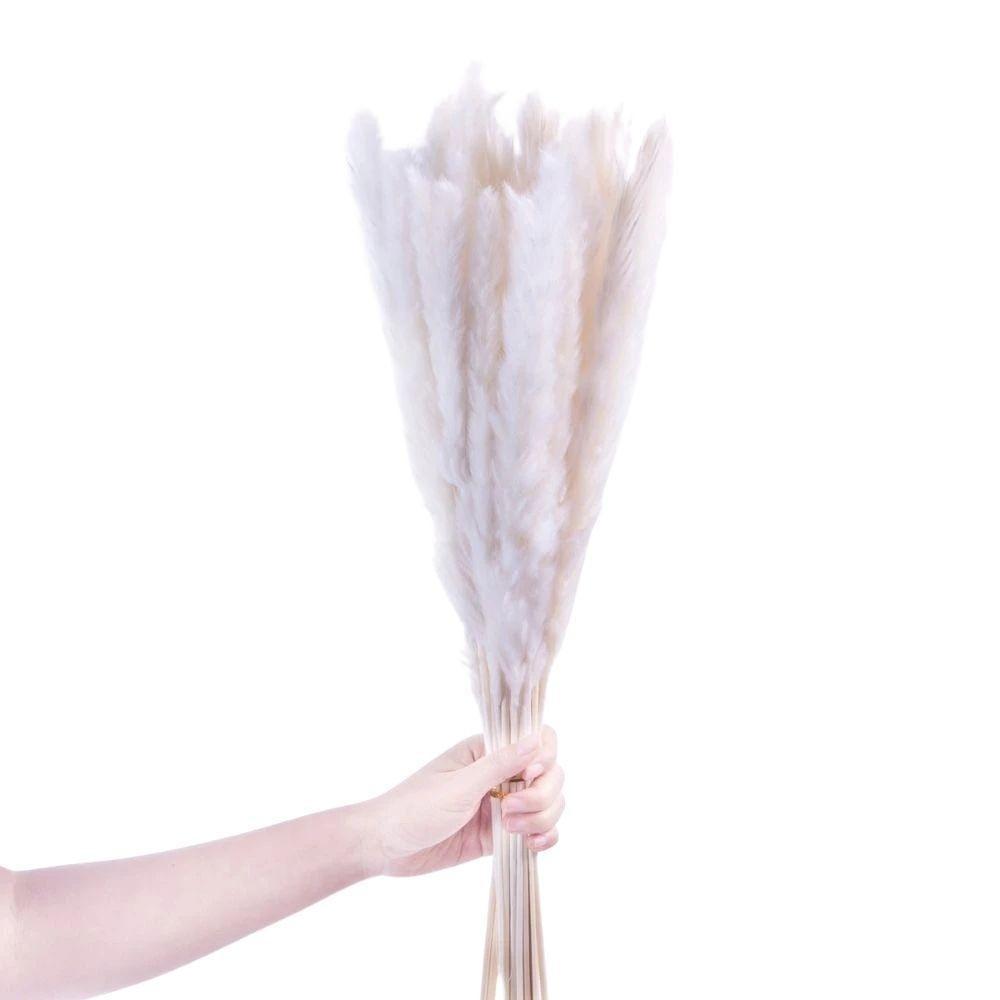 Beige Pampas Bouquet 26” (Set Of 30) | Artificial Pampas Grass Arrangements Decor Artificial Pampas Grass Arrangements