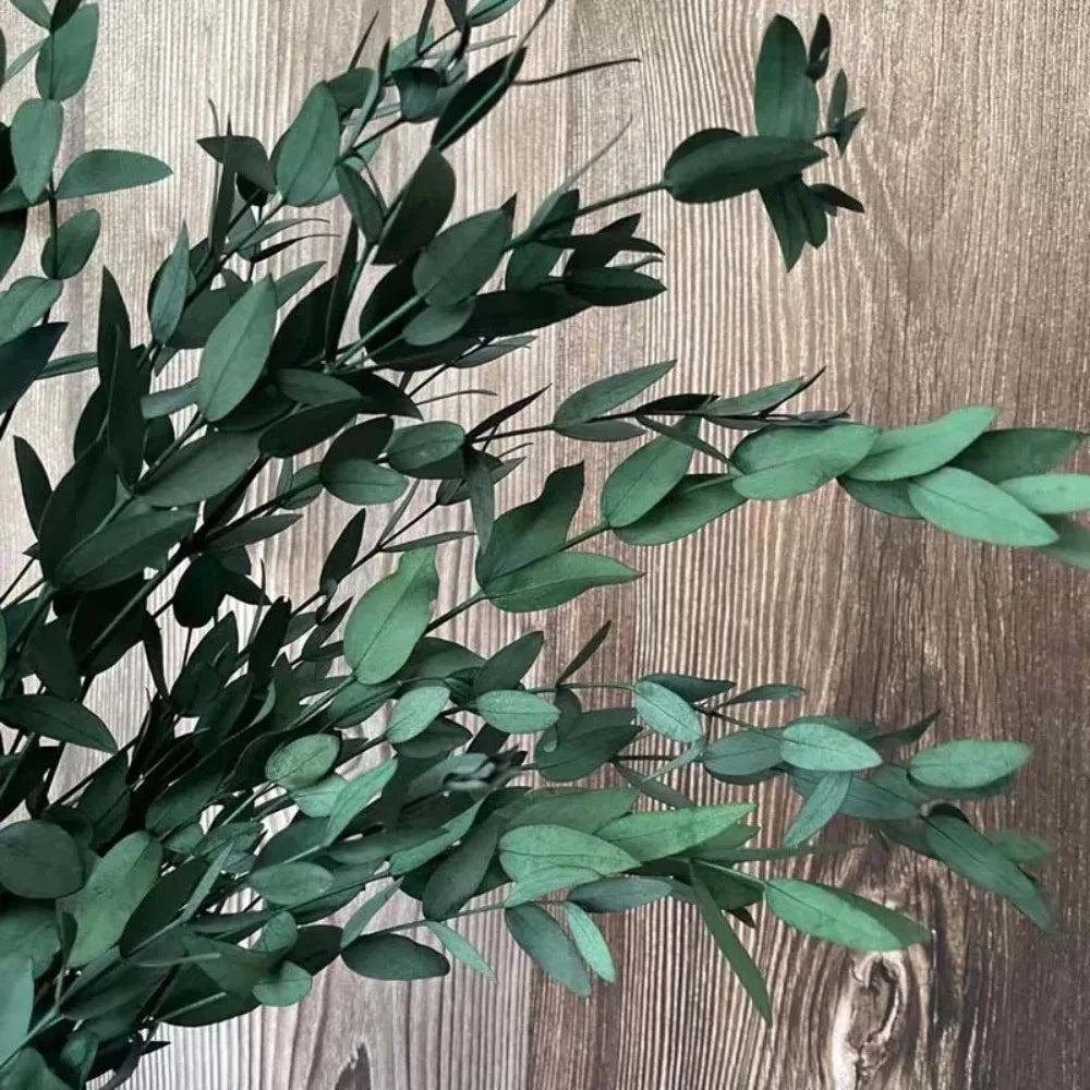 Natural Eucalyptus Leaves Dried Flowers 80 Grams | Small Floral & Foliage Decor Decor Small Floral & Foliage Decor