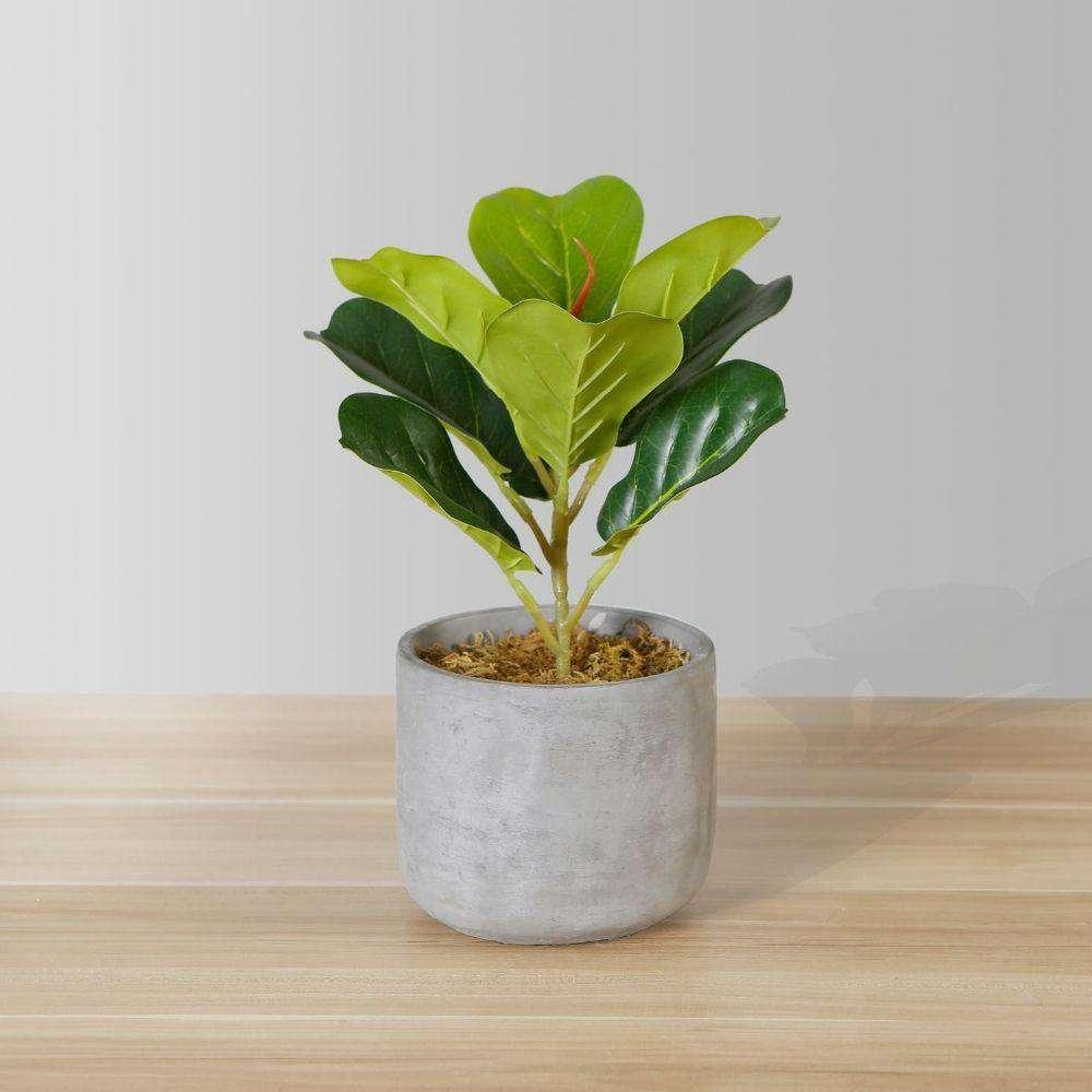 Panuco Potted Faux Fiddle Plant | Artificial Tabletop Plants Artificial Plants Artificial Plants & Trees